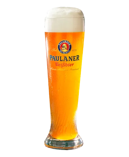 Paulaner x 500ml