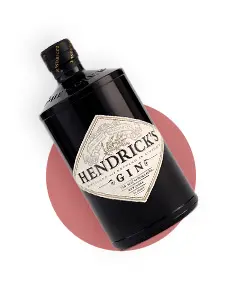 icono ginebra hendricks